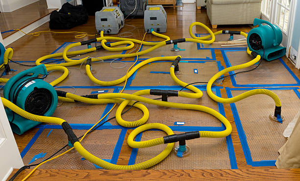 Professional Water Damage Restoration technician working in Westwood, KS
